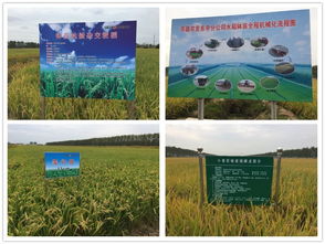 技術(shù)推廣服務(wù)中心 推動(dòng)創(chuàng)新成果轉(zhuǎn)化的橋梁